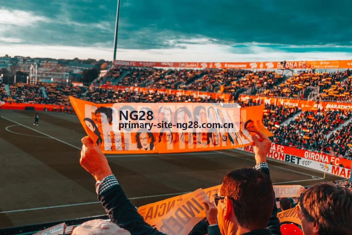 NG28版本更新公告解析